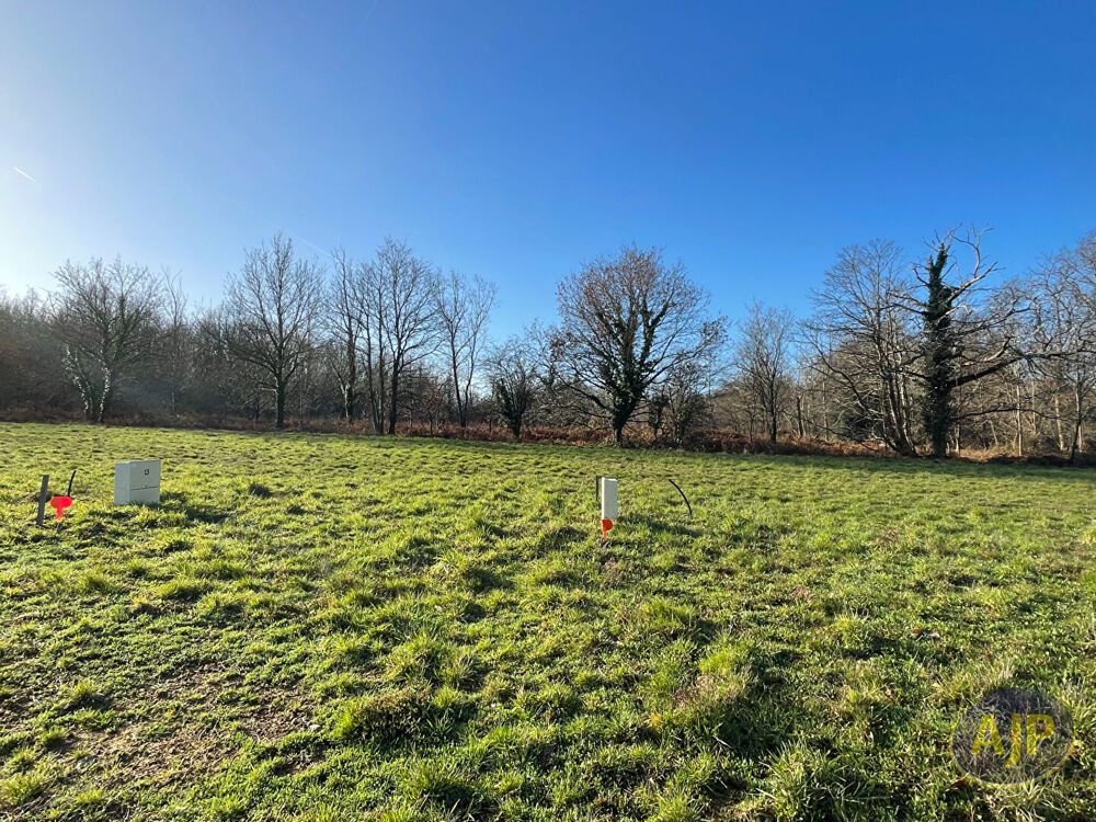 Vente Terrain Terrain Challans 1490 m2 Challans