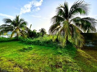  Terrain � vendre 500 m�