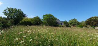  Terrain � vendre 555 m�