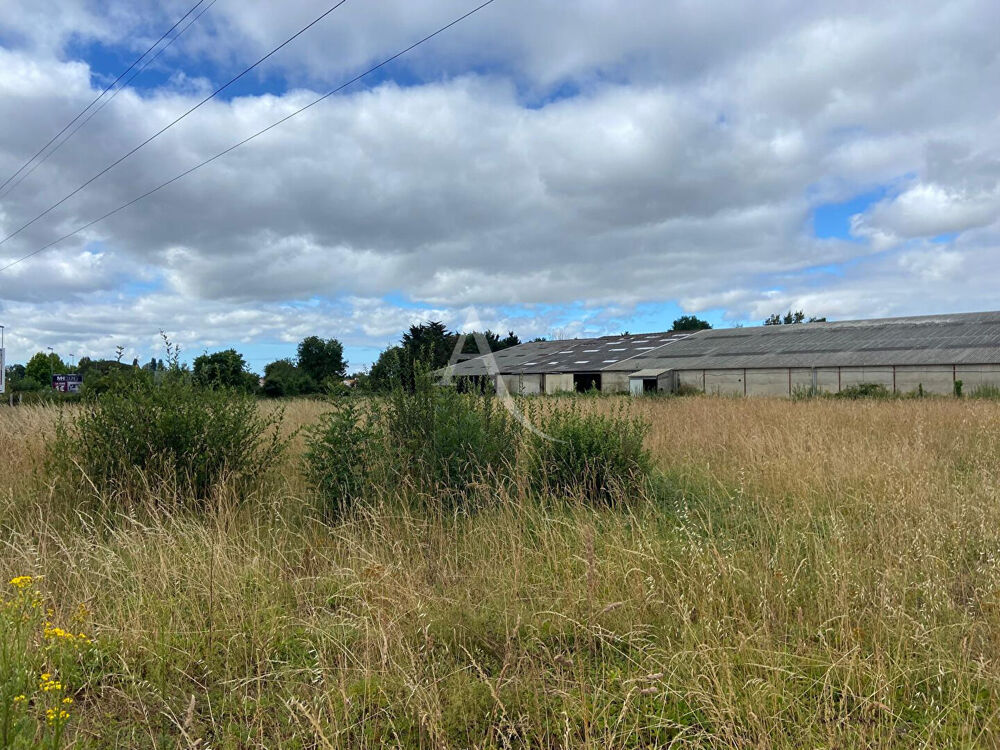 Vente Terrain Terrain de 1 580 m² en zone artisanale/industrielle ? Forte visibilité à Challans Challans
