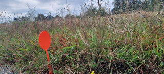  Terrain  vendre 360 m