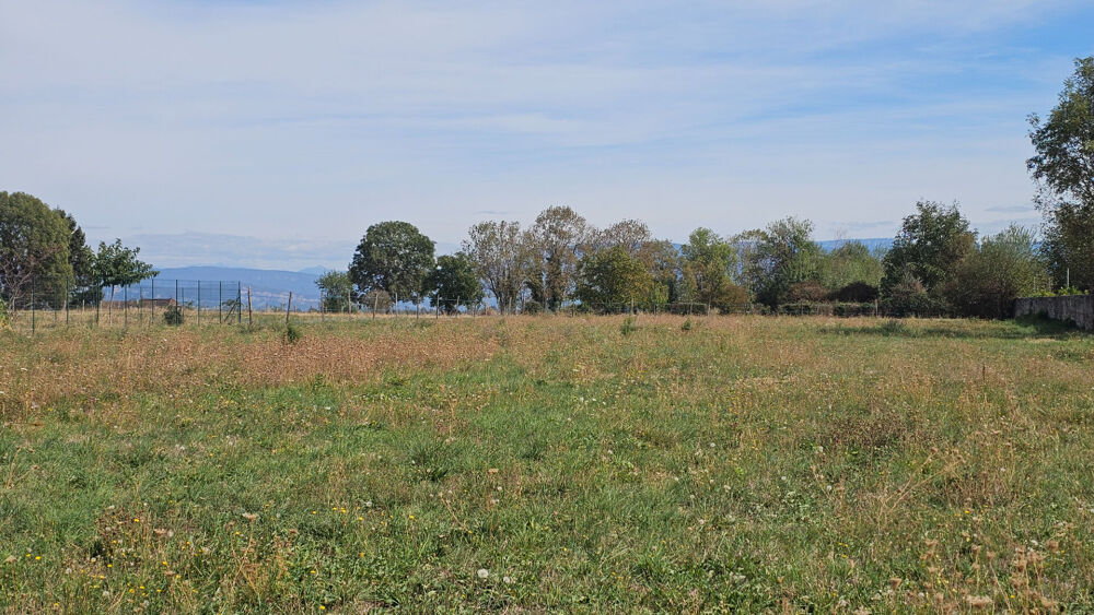 Vente Terrain ST ANDRE LE GAZ - Terrain à bâtir - 3877m² - Libre constructeur Saint andre le gaz