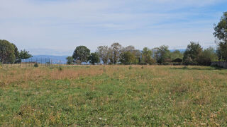  Terrain à vendre 3877 m²