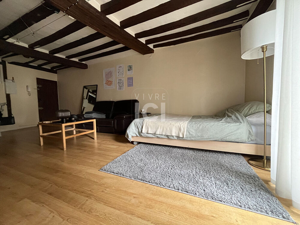 Location Appartement ANGERS HYPER CENTRE GRAND T1BIS Angers