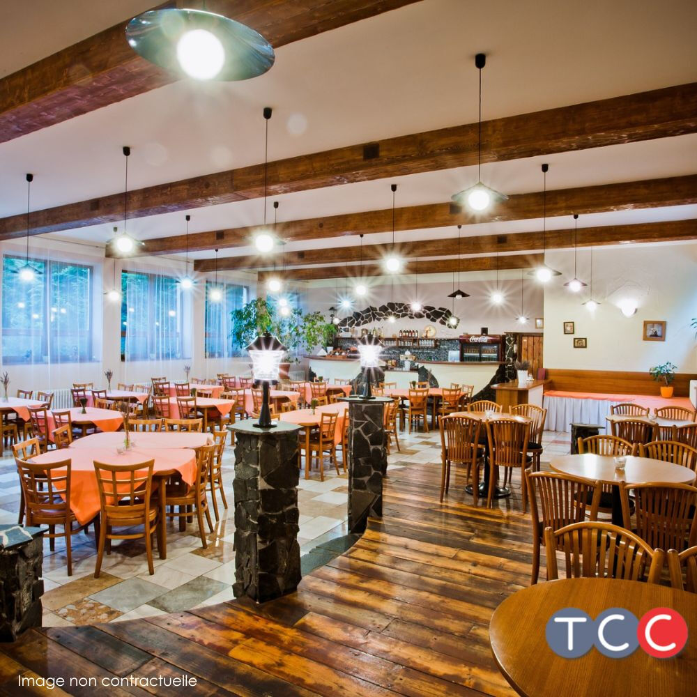   Fonds de commerce Restaurant Toulouse 150 m2 