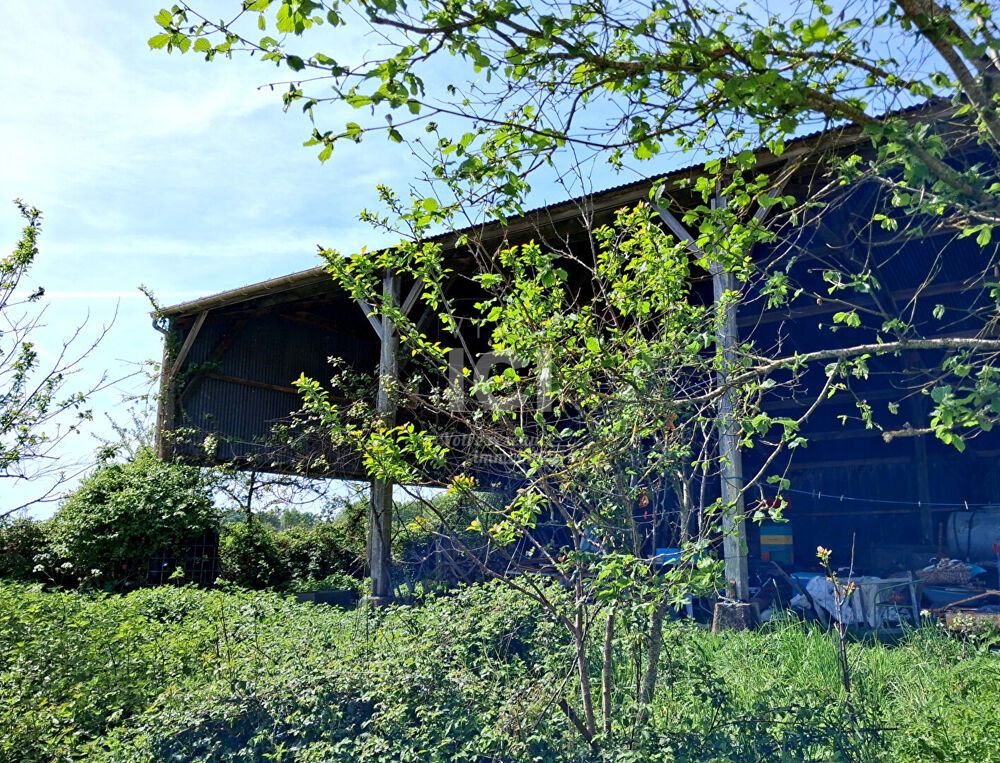 Vente Maison Maison Frossay 5 pièce(s) 187 m2 Frossay