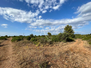  Terrain � vendre 5029 m�