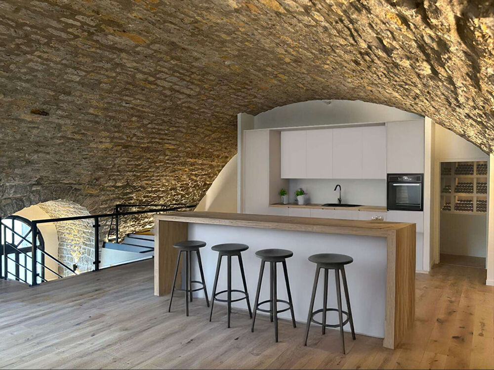 LOFT rénové Aix Les Bains coeur de ville - avec garages