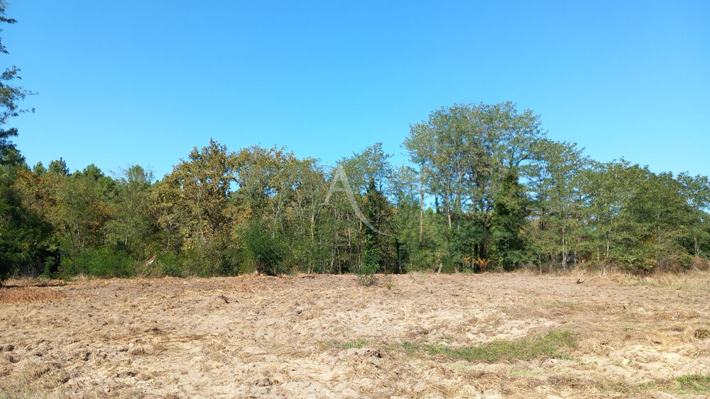 Vente Terrain TERRAIN CONSTRUCTIBLE DE 3 824 M² À SAINTE-FOY Sainte foy