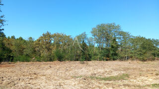 Vente Terrain TERRAIN CONSTRUCTIBLE DE 3 824 M² À SAINTE-FOY Sainte foy