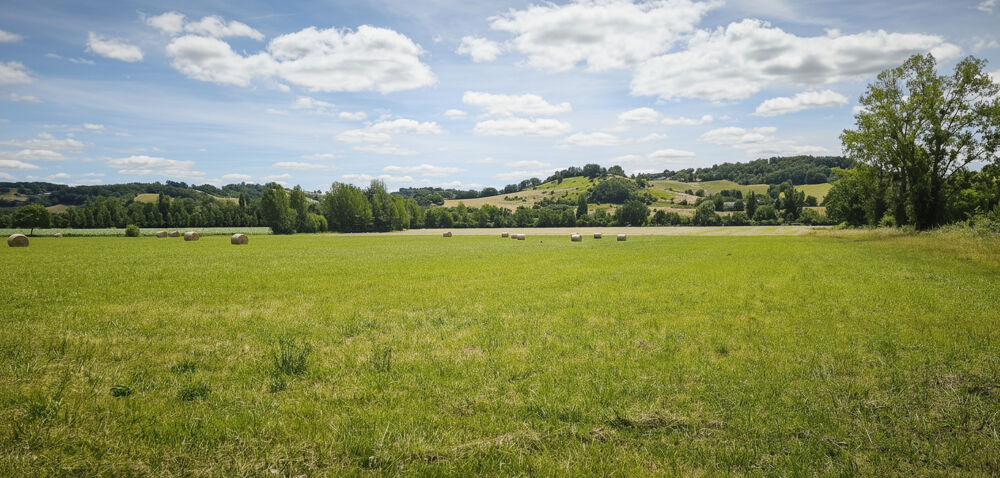 Vente Maison Propriété agricole clé en main ? Exploitation fonctionnelle sur 12 hectares ? Tarn-et-Garonne Saint nazaire de valentane