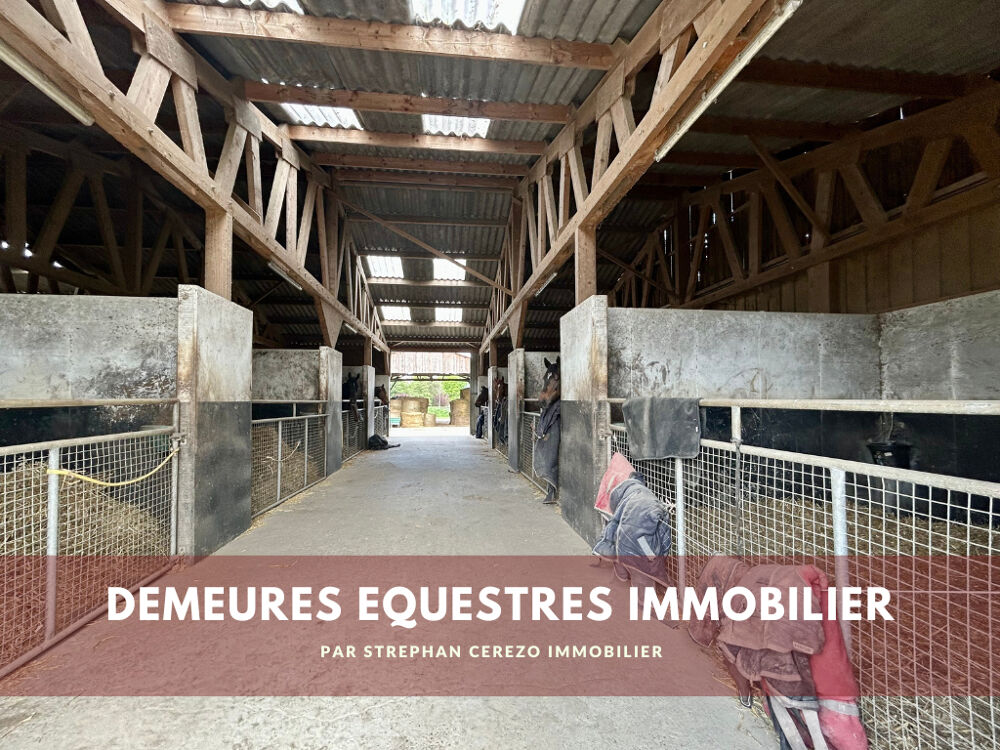 Vente Villa Écurie de course sur 15 ha Chateau gontier sur mayenne