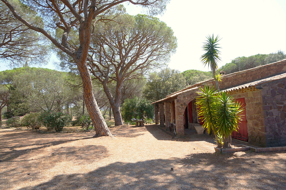 � vendre  Maison Fr�jus (83600)