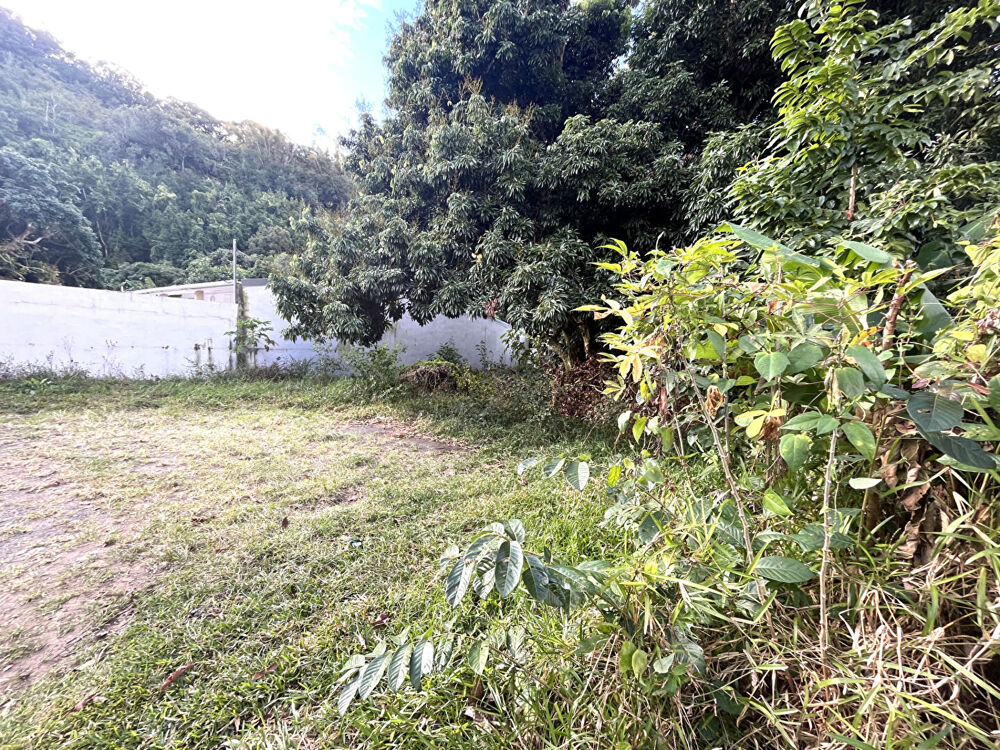 Vente Terrain PRMI : L'Ilet, Rte de Salazie Terrain plat de 425m² Saint andre