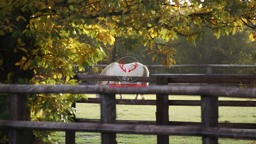 Vente Maison Propriété équestre de charme de plus de 16 hectares en Sologne Romorantin lanthenay