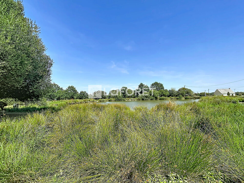 Vente Terrain Terrain Allaire 16500 m2 Allaire