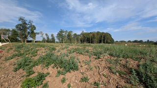  Terrain à vendre 1338 m²