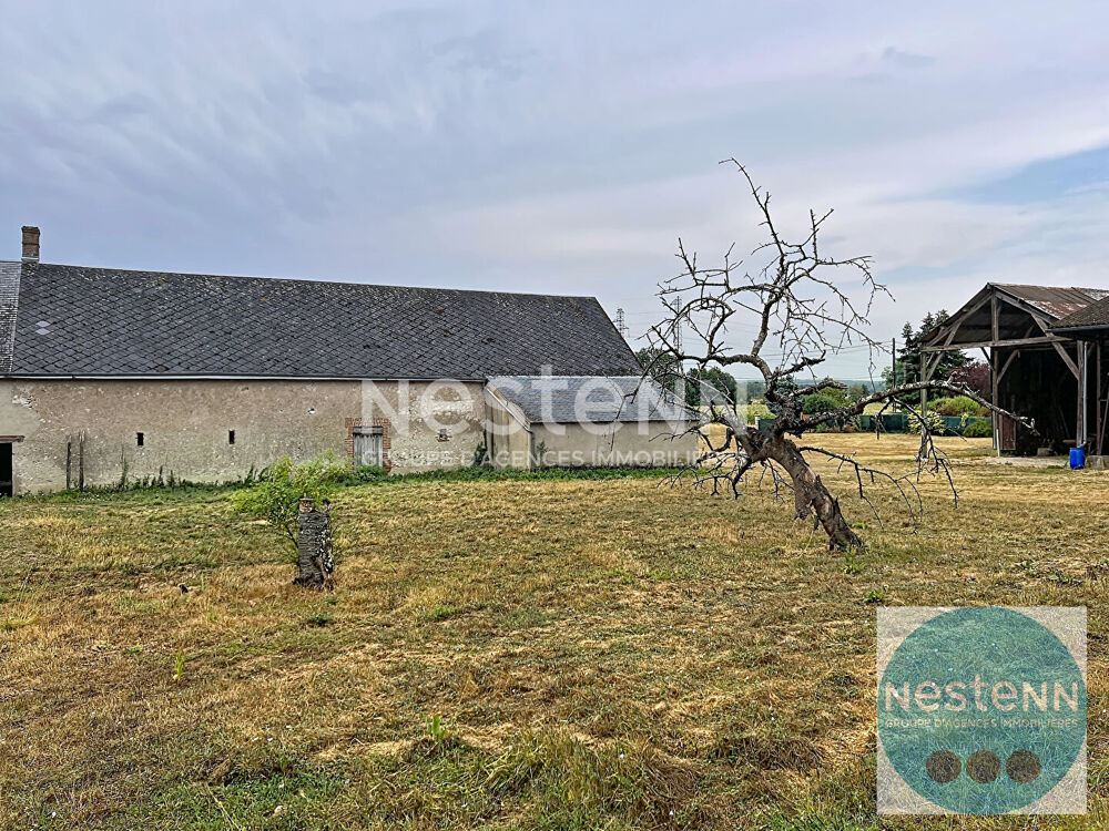 Vente Maison Plus de 500 m² de potentiel à 10 min de Blois ? Deux bâtiments sur 4 000 m² ! Chouzy sur cisse