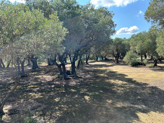  Terrain � vendre 2945 m�