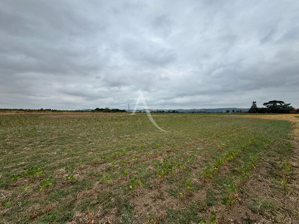 Vente Terrain Lisle-sur-tarn - Terrain de 4 hectares Lisle sur tarn