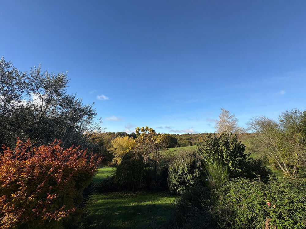 Vente Maison Propriété en pierre avec vaste terrain et belle vue Viazac