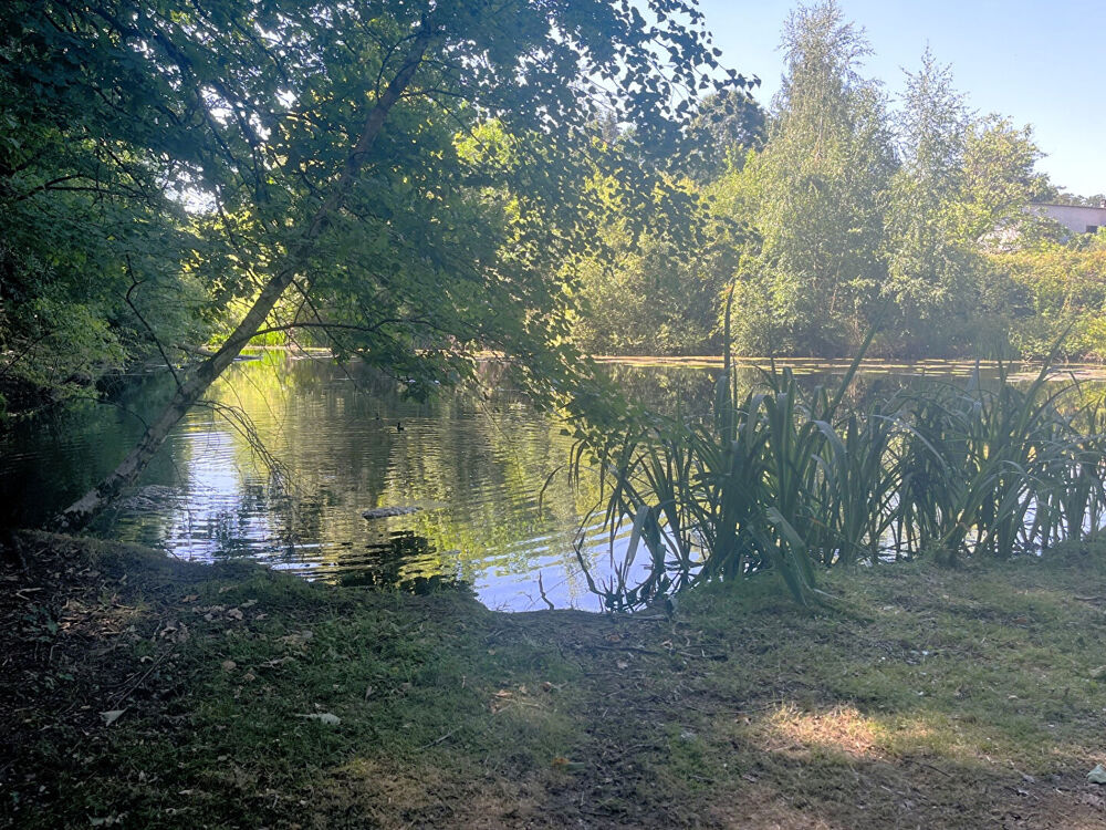 Vente Maison Maison Dournazac 4/5 chambres 2 etangs grand parc Dournazac