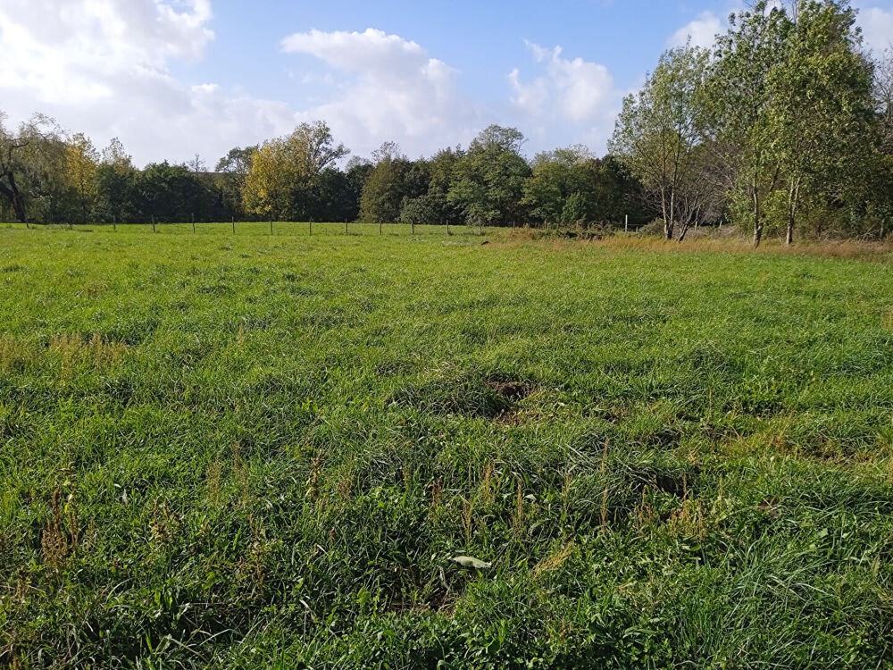 Vente Terrain A VENDRE TERRAIN À BATIR 1993 m2 VIABILISÉ VAL-DE-LIVENNE Val de livenne