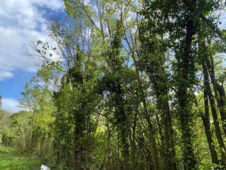  Terrain � vendre 726 m�