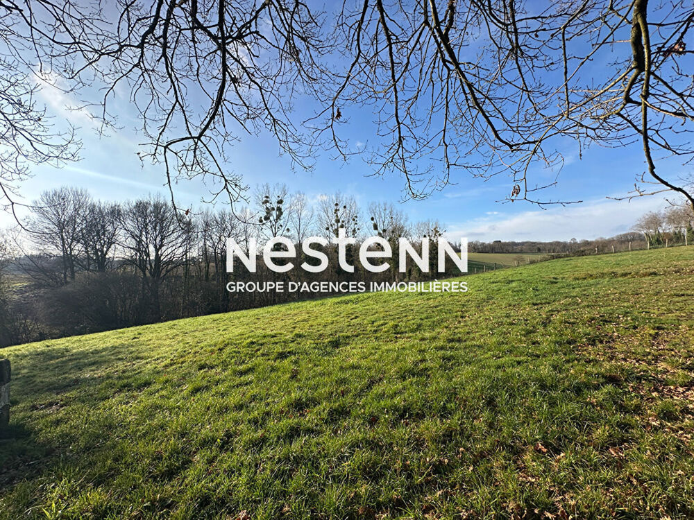 Jolie propriété à vendre avec grand gîte et salles de réception, terrain de 2 hectares à Beaumont-Pied-de-Boeuf (72500)