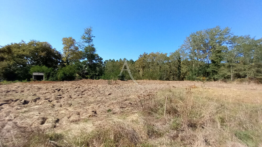 Vente Terrain TERRAIN CONSTRUCTIBLE DE 3 824 M² À SAINTE-FOY Sainte foy