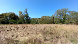 Vente Terrain TERRAIN CONSTRUCTIBLE DE 3 824 M² À SAINTE-FOY Sainte foy