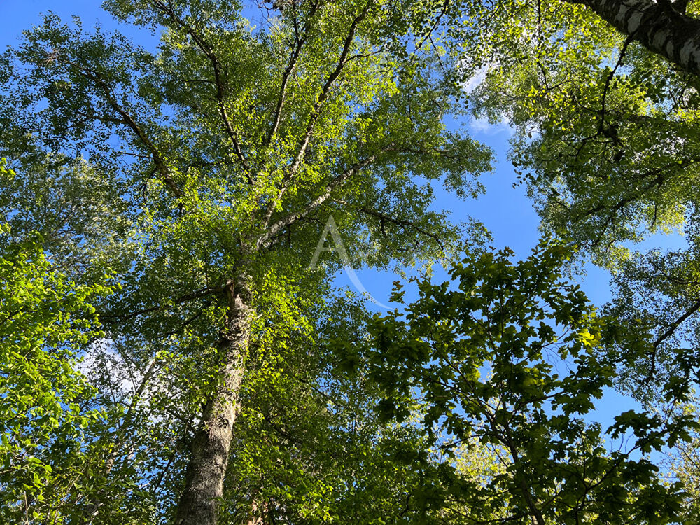 Chalet à rénover avec terrasse et puit au bord du lac d'Aydat dans un parc arboré.