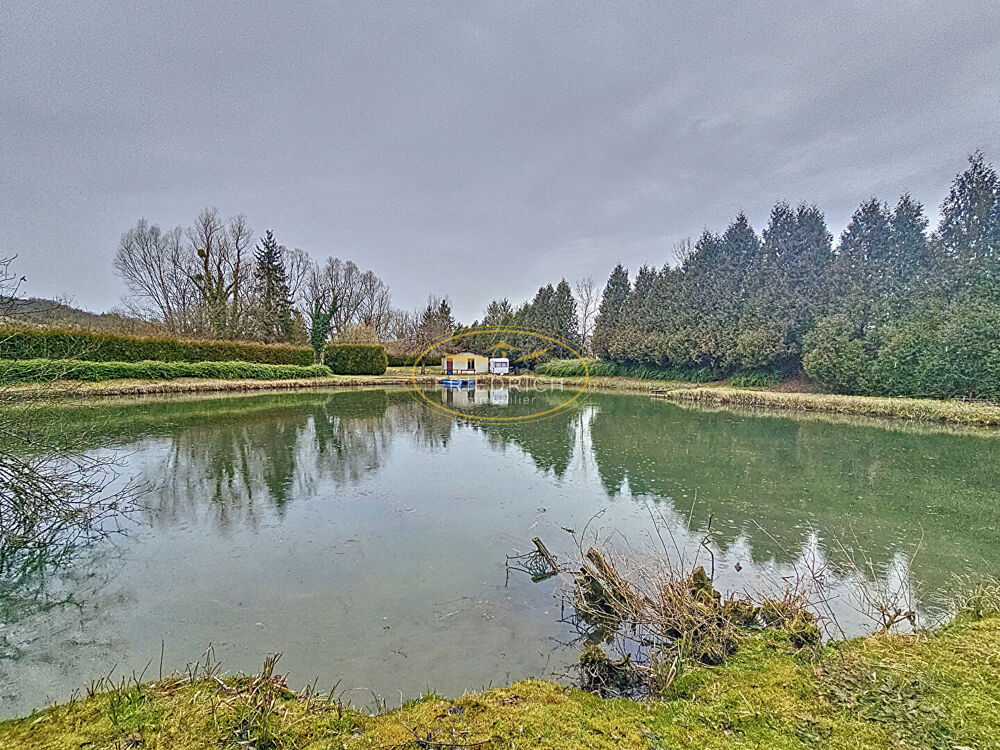 Vente Terrain TERRAIN DE LOISIRS AVEC ETANG ET MAISONNETTE Bar le duc