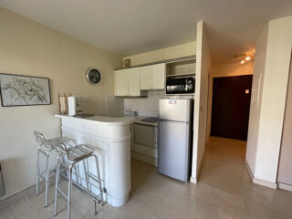  Appartement à louer 1 pièce 30 m²