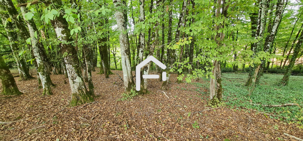 Vente Maison Maison + 2 granges sur 2 hectares ! Allassac