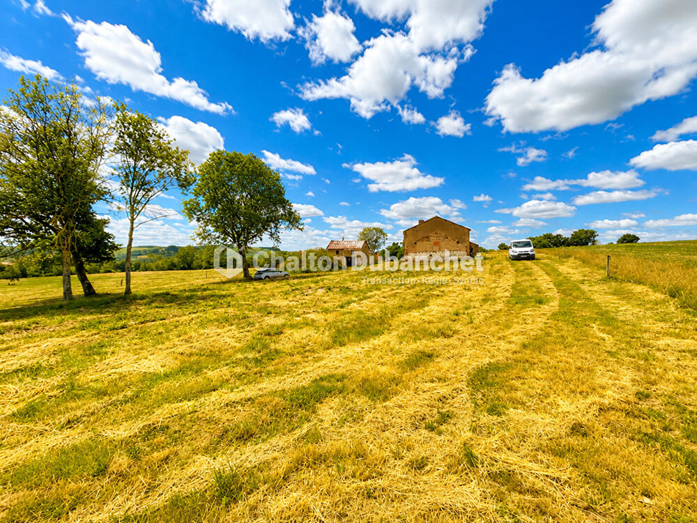 Vente Terrain Terrain de 4576 m²  avec deux bâtiments en ruine à MONTAIGUET EN FOREZ Montaiguet en forez