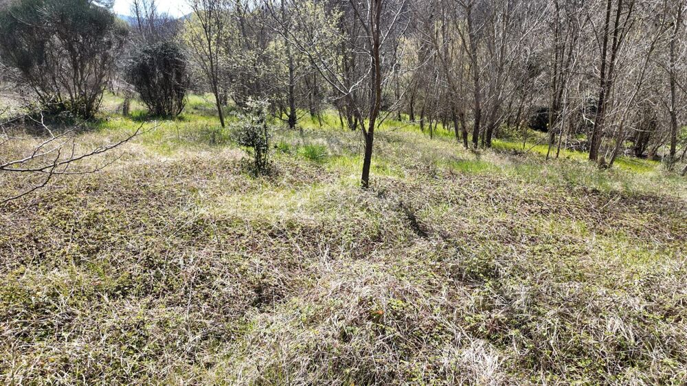 Vente Terrain Terrains d'Exception au Calme Absolu Prêts à Construire Entrechaux