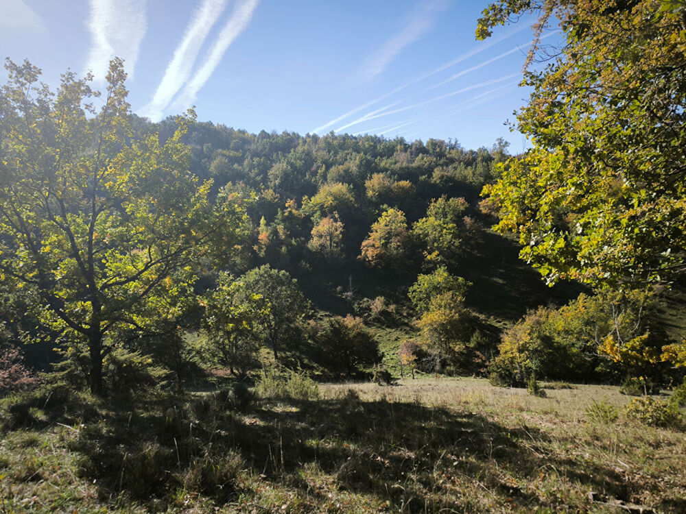 Vente Terrain Splendide terrain de 98 ha ,  30 HA de prairies , 78 HA de bois . Manses
