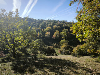 Vente Terrain Splendide terrain de 98 ha ,  30 HA de prairies , 78 HA de bois . Manses