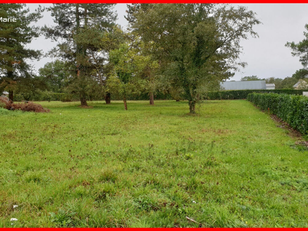 Vente Terrain Terrain Guemene Penfao 1249 m2 Guemene penfao