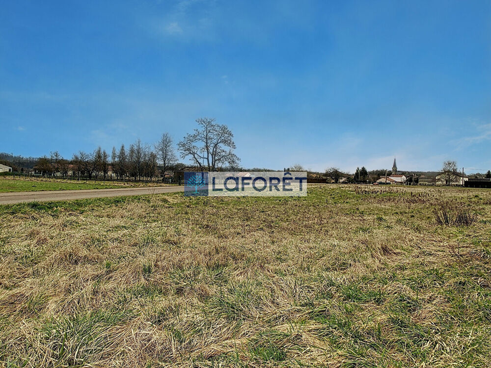 Vente Terrain Terrain Roches Sur Marne 3404 m2 Roches sur marne