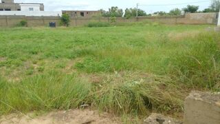  Terrain � vendre 1 m� Nguerigne