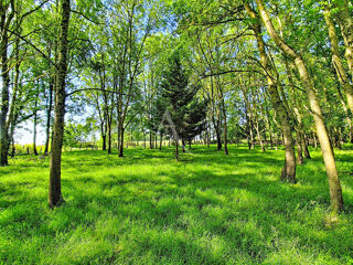  Terrain à vendre 6105 m²