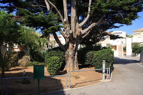  Appartement � louer 1 pi�ce 26 m�