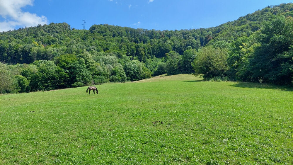  vendre  Maison Montbliard (25200)