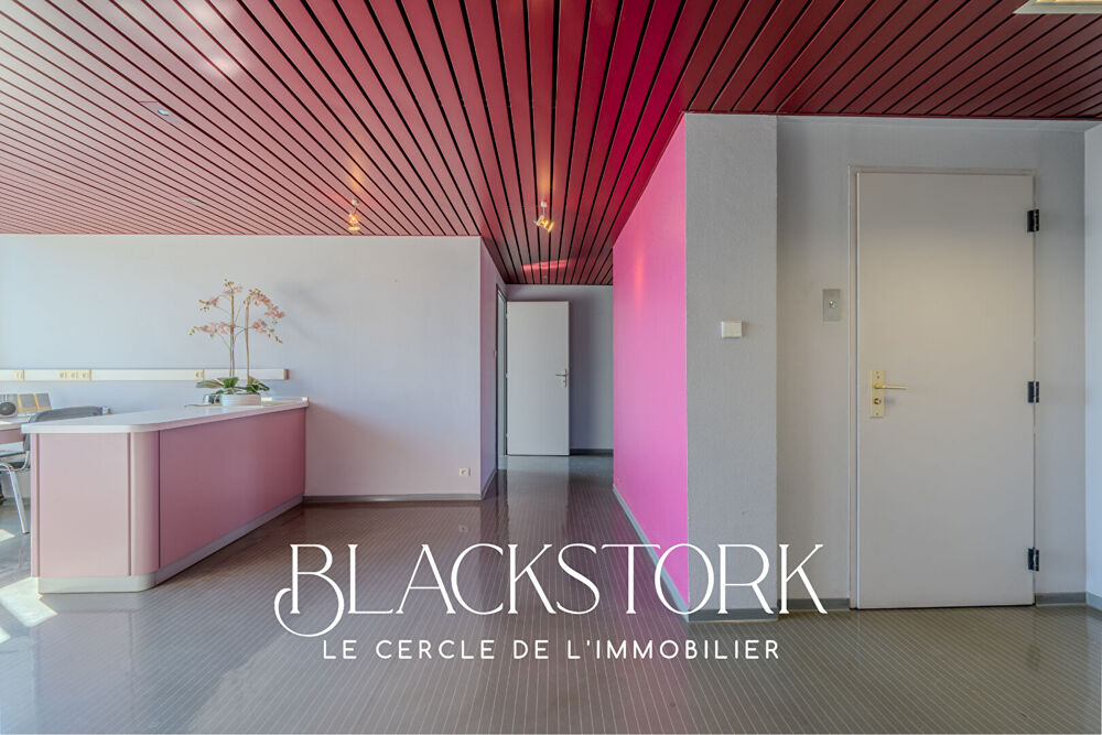   LOCAL PROFESSIONNEL - STRASBOURG ROBERSTAU - VUE DEGAGEE Strasbourg
