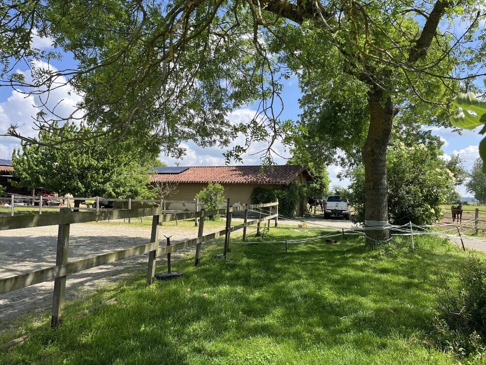 Vente Maison Grande maison familiale entièrement rénovée, 2ha, partie équestre et terrain constructible Martres de riviere