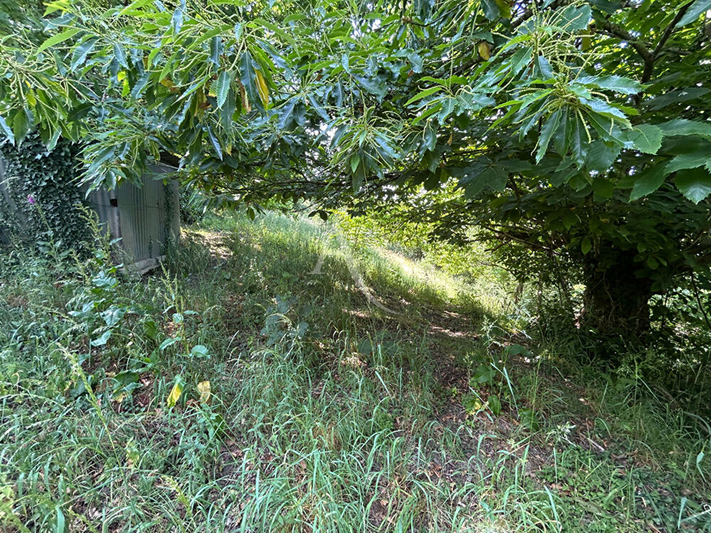 Vente Terrain Terrain de loisirs - Chateau-Gontier-sur-Mayenne Chateau gontier sur mayenne