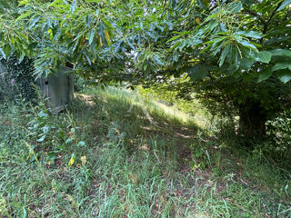  Terrain à vendre 