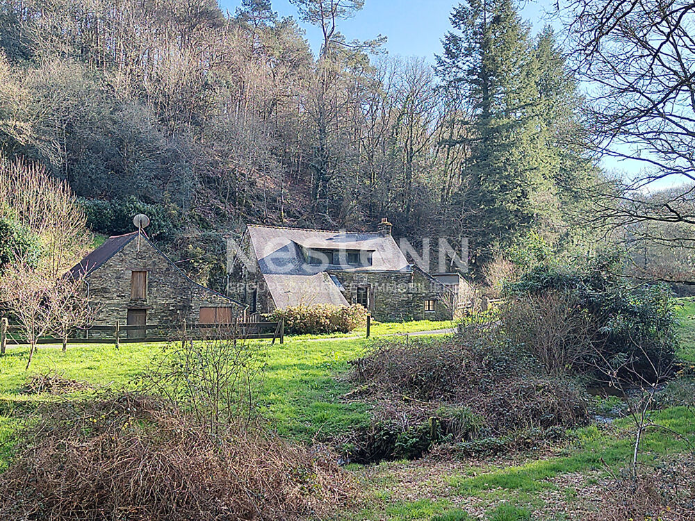 Maison de charme à vendre à Pluherlin - Environnement exceptionnel sur 45390 m²